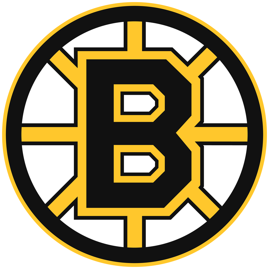 Boston Bruins 1995-2007 Primary Logo fabric transfer